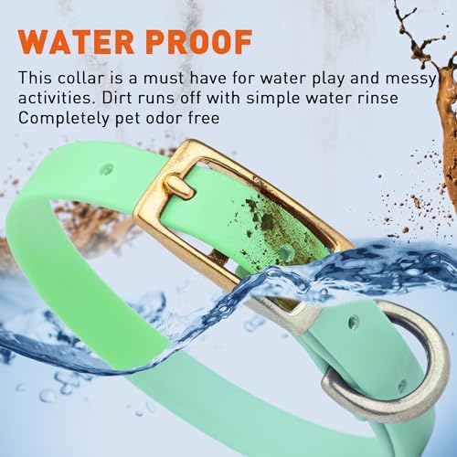 Viper Biothane Heavy Duty Waterproof Dog Collar Strong Coated Nylon Webbing w/Solid Brass Hardware Odor-Proof for Easy Care to Clean High Performance Fits Small Medium or Large Dogs, Sea Foam Green