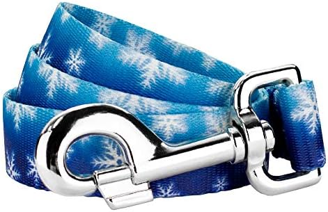 Country Brook Petz - Winter Wonderland Everyday Dog Leash - Christmas Collection Featuring Festive Designs (6 Foot, 1 Inch Wide)