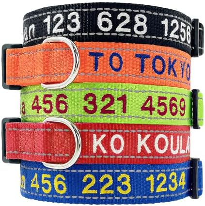 Personalized Dog Collar, Reflective Embroidered Nylon Collar with Name