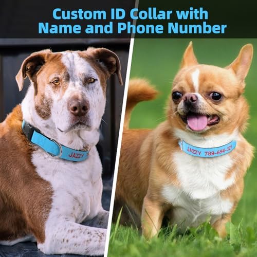 Kuley Personalized Dog Collar, Embroidered with Pet Name and Phone Number