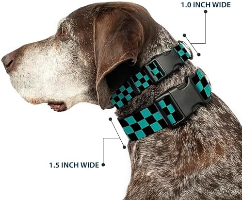 Buckle-Down Plastic Clip Collar - Checker Black/Teal - Narrow-Medium 8-12"
