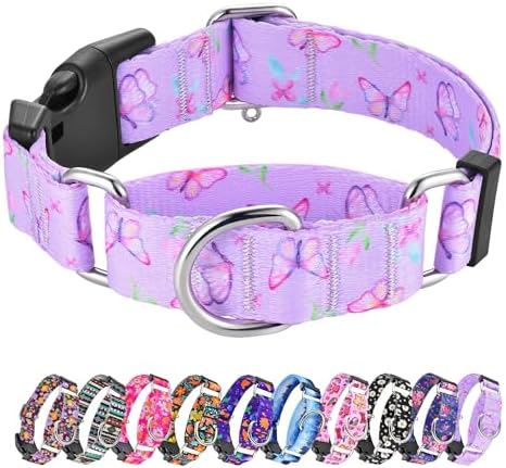 Hikiko Martingale Collar for Dogs with Special Pattern,Adjustable,M