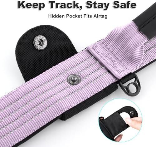 Plutus Pet Tactical Dog Collar with Pocket for AirTag, Purple, M