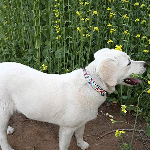 Customized Nylon Dog Collar, Personalized Dog Collar Engraved with Name and Phone Number,Adjustable ID Dog Collar with Quick-Release Buckle (S, Graffiti)