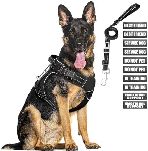 Tactical Dog Harness and Leash Set with 10 Patches for Large Dogs