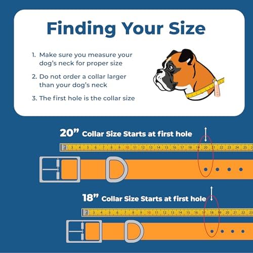 GoTags Embroidered Reflective Dog Collars with Metal Buckle, Personalized Dog Collar Custom Embroidered with Pet Name and Phone Number, Sizes for Puppy and Dogs Extra Small, to Medium and Large