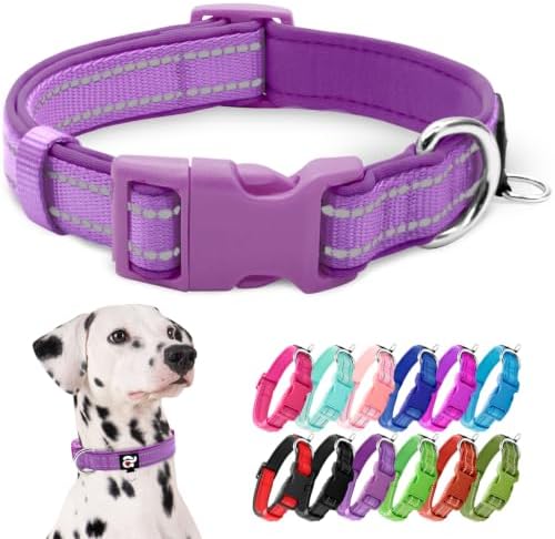azuza Reflective Dog Collar, Neoprene Padded Large Dog Collar, Purple, L