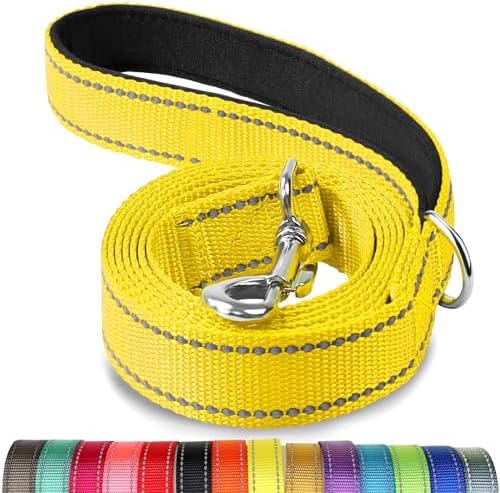 Joytale Reflective Dog Leash for Medium & Large Dogs, 5 FT x 1", Yellow