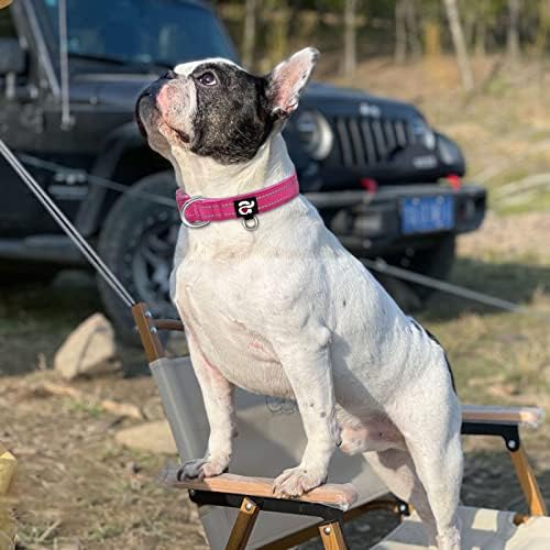 azuza Reflective Dog Collar, Neoprene Padded Medium Dog Collar, Hot Pink, M