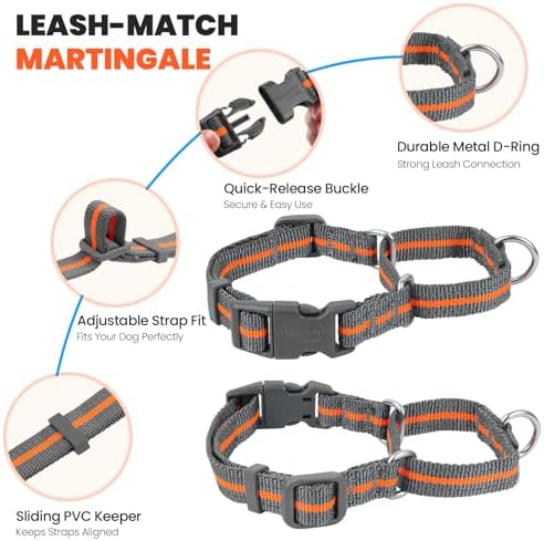 VIVAGLORY Double Handle Dog Leash Twingrip, 5ft x 1in, M, Orange Grey