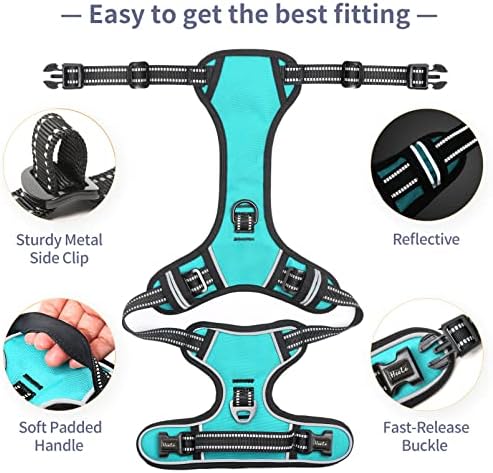 HEELE Dog Harness, No Pull Adjustable Padded Reflective Harness for Small Medium Large Dogs with Handle for Walking Training,Turquoise, M
