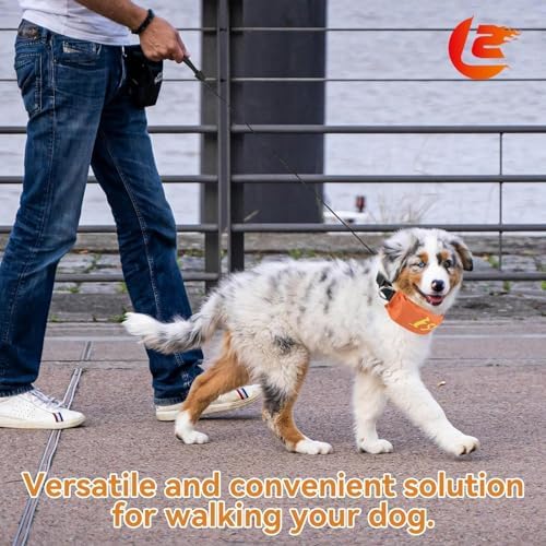 Lesypet 2 in 1 Retractable Dog Leash Collar, Hands-Free Dog Walking Collar with Retractable Leash for Medium Large Breed Dog Outdoor, Orange L