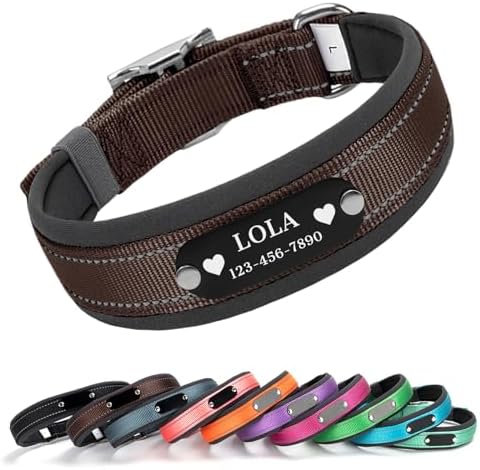 Custom Dog Collar with Engraved Name & Number, Brown: M