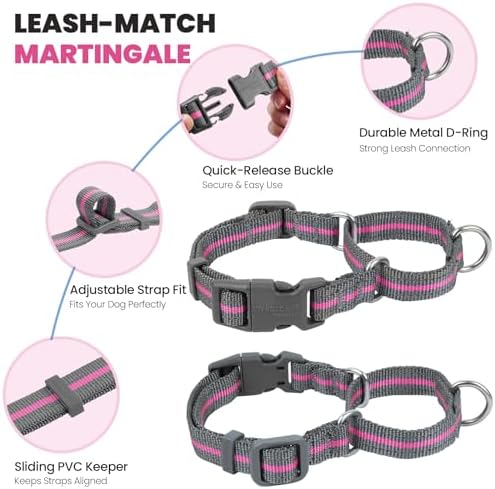 VIVAGLORY Double Handle Dog Leash Twingrip, 5ft x 1in, L, Pink Grey