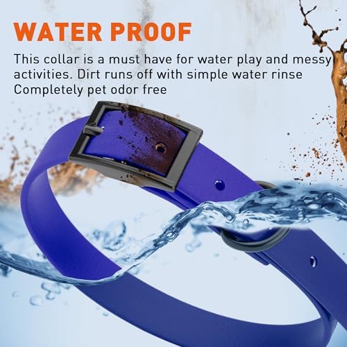 Dogline Biothane Waterproof Dog Collar Strong Coated Nylon Webbing with Black Hardware Odor- Proof for Easy Care Easy to Clean High Performance Fits Small Medium or Large Dogs, Blueberry Royal