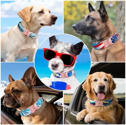 Reflective Dog Collar for Large Dogs, Artistic Design Hawaii-L
