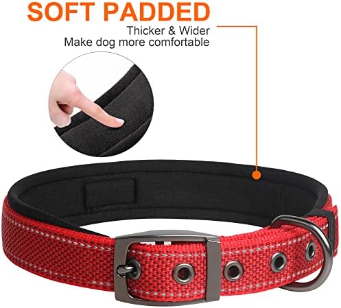 Fida Padded Dog Collar for Small Dogs with Metal Belt Buckle, Red