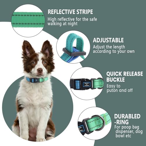 Roses&Poetry Bluegreen Large Dog Collar and Leash Set, Puppy Reflective Leashes with Collars, Adjustable Durable Matching Collar Leash for Large Dogs Girl (Bluegreen-L)