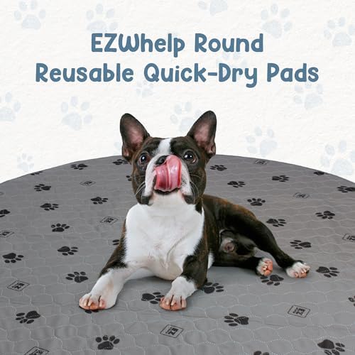 EZwhelp Reusable Dog Pee Pad, Washable Slip-Resistant Mat 48 in, 2 Pack