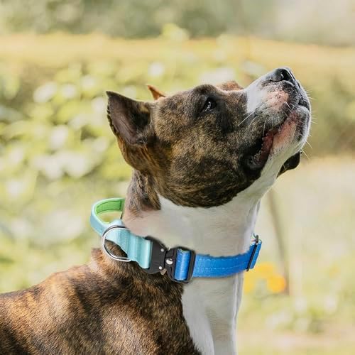TSPRO Tactical Dog Collar, Heavy Duty Quick Release Metal Buckle and Handle