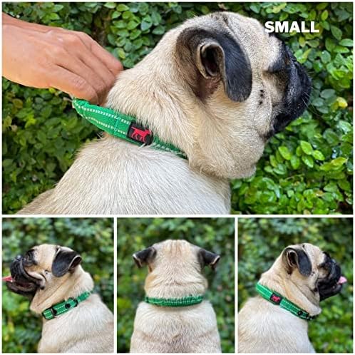 Tuff Pupper Heavy Duty Dog Collar with Handle | Ballistic Nylon Heavy Duty Collar | Padded Reflective Dog Collar with Adjustable Stainless Steel Hardware | Convenient Sizing for All Breeds