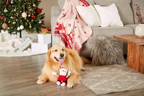 Pearhead The Real Santa Claus Holiday Dog Toy, Durable Corduroy Rope Toy