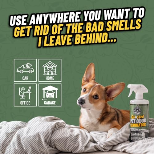 Chemical Guys, Ghosted Pet Odor Neutralizer Spray, Citrus Scent, 32 fl oz