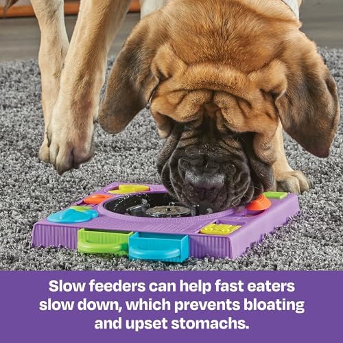 Learning Resources Brightkins DJ Doggo Puzzle Feeder - Slow Feeder Dog Bowls, Puzzle Toys for Dogs, Slow Eating Dog Bowl, Large Puppy Bowls, Treat Puzzles Feeders for Cat and Dogs, Puppy Food Bowl