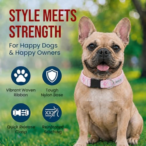 THE WORTHY DOG Summer Print, Adjustable Dog Collar,Medium Dogs, Floral