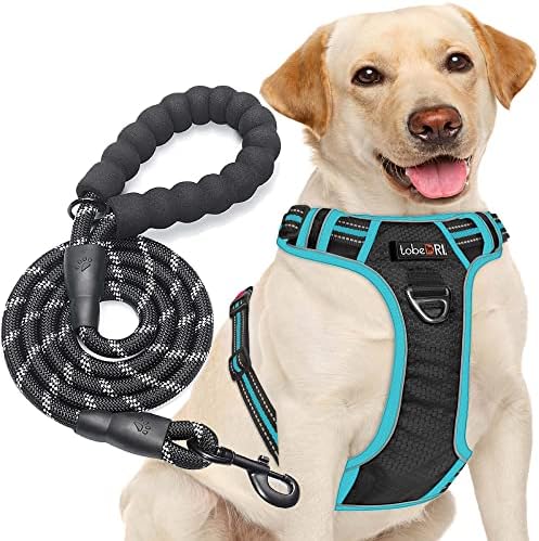 tobeDRI No Pull Dog Harness Adjustable Reflective Oxford Easy Control Medium Large Dog Harness with A Free Heavy Duty 5ft Dog Leash, Black/Blue, XL