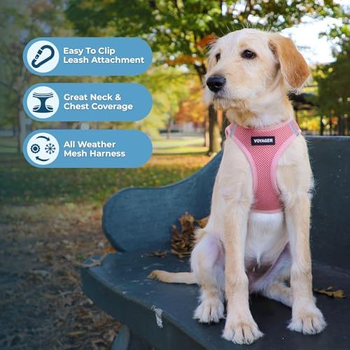 Best Pet Supplies Voyager Step-in Air All Weather Mesh Harness and Reflective Dog 5ft Leash Combo with Neoprene Handle, for Small, Medium and Large Breed Puppies - Pink, Large