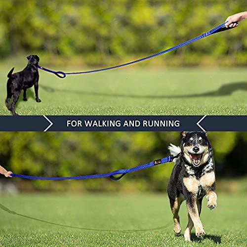 Plutus Pet Double Handle Dog Leash, 6 FT Long, for Medium Large Dogs