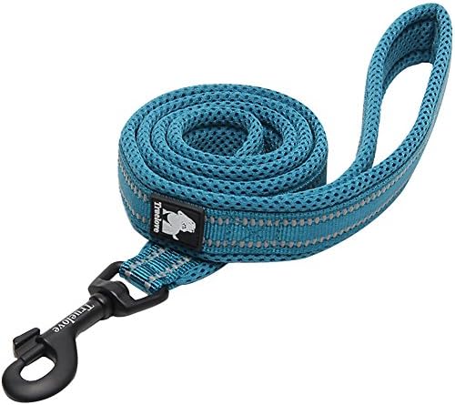 Creation Core Reflective Dog Leash Durable Padded Pet Leash Strap for Puppy Pet Leash Rope, Blue 6.5Ft Long 0.8" Wide