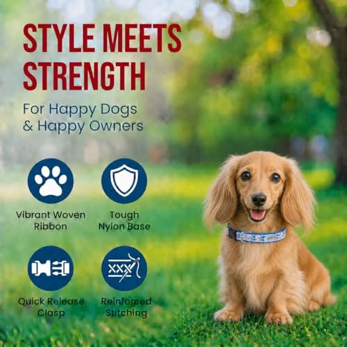 THE WORTHY DOG Summer Print, Adjustable Dog Collar, Small Dogs, Sharkuterie
