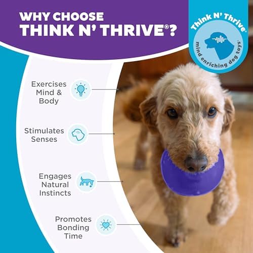 Outward Hound Lil' Snoop Interactive Treat Dispensing Dog Toy, Purple, 3.9"