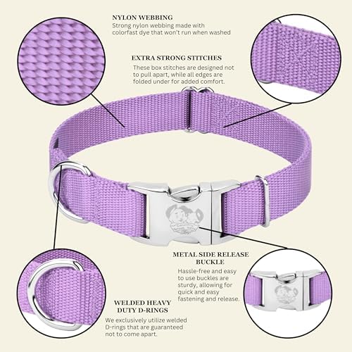 Country Brook Petz - Premium Nylon Dog Collar with Metal Buckle for Small Medium Large Breeds - 30+ Colors (Medium, 3/4 Inch, Lavender)