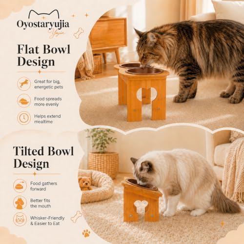 Bone Elevated 5.5" Ceramic Cat Puppy Bowls, Tilted Cat Bowl Stand