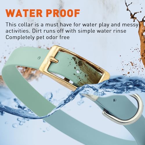 Viper Biothane Heavy Duty Waterproof Dog Collar Strong Coated Nylon Webbing w/Solid Brass Hardware Odor-Proof Easy to Clean High Performance Fits Small Medium or Large Dogs, Sage Green