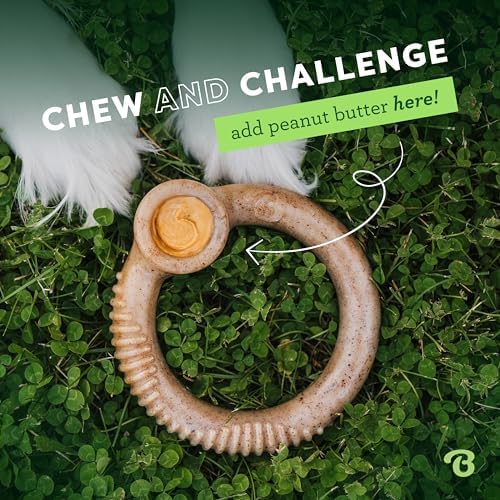 Benebone Ring Durable Dog Chew Toy for Aggressive Chewers, Real Bacon, Made in USA, Large (Pack of 2)