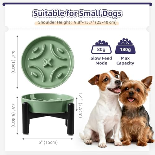 Elevated Slow Feeder Dog Bowl, 0.8 Cups Ceramic Raised Slow Feeder with Stainless Stand, 6.3 Inch Wide Lifted Dog Bowl for Small Breeds to Control Eating Speed, Green