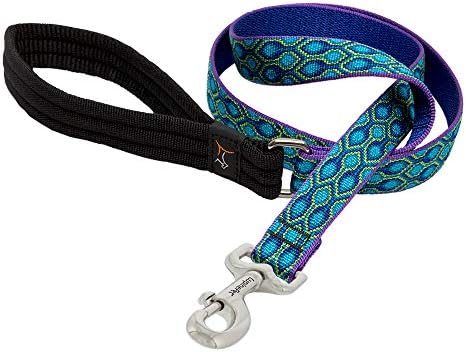 LupinePet Originals 1" Rain Song 4-Foot Padded Handle Leash for Medium and Larger Dogs