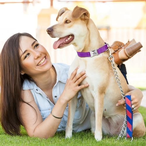Silent Dog Collar Personalized with Name Phone Number Laser Engraved