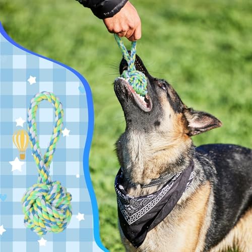 Wettarn 15 Pcs Dog Rope Toys for Medium Large Dogs, Heavy Duty Tug Toys