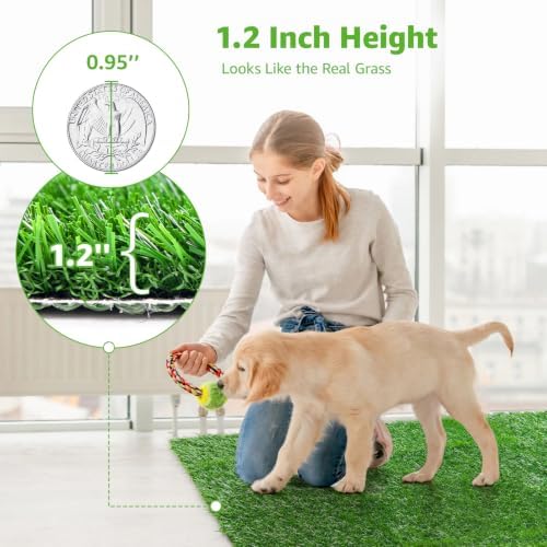 Artificial Dog Grass Pad 2 Pack，20"x 25" Replacement Fake Grass Turf Mat