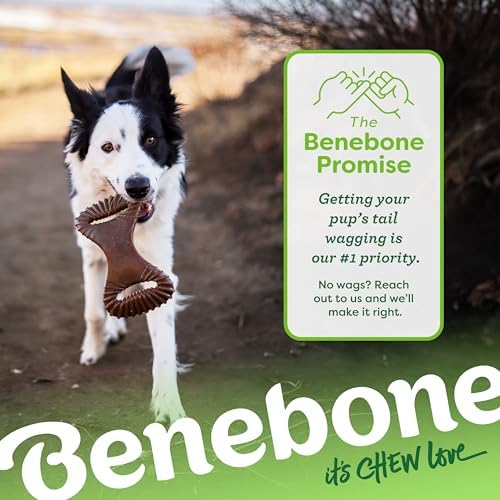 Benebone Dental Dog Chew Toy for Aggressive Chewers, Real Bacon, Medium