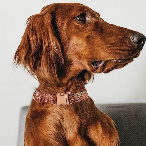 Dog Collar with Metal Buckle for Small Medium Large Dog, Heavy Duty Nylon Dog Collar (Large, Brown)