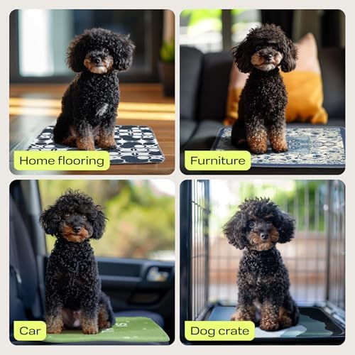PetSpy Washable Pee Pads for Dogs 1-pack (72x72) - Waterproof Reusable Puppy Pads No-slip Surface - Stylish Dog Potty Training Pads Protect Against Leakage Small Medium Large Dogs, Ornament