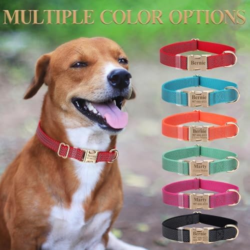 Personalized Reflective Dog Collar