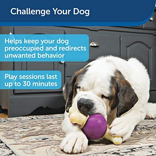 PetSafe Busy Buddy Bouncy Bone Treat Holding Dog Chew Toy, Medium/Large