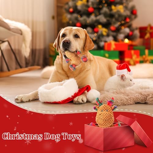 Squeaky Dog Toys, Stuffed Large Dog Toys to Keep Them Busy, Interactive Plush Chew Toys with Crinkle Paper, Tough Pet Animal Toys for Small Medium Large (Red B)